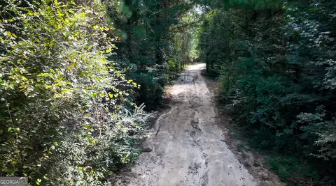 0 Buck Creek Byp, Oglethorpe, GA 31068 photo 24
