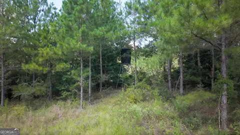 0 Buck Creek Byp, Oglethorpe, GA 31068 photo 19