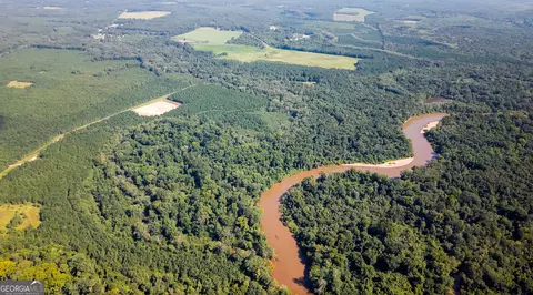 0 Buck Creek Byp, Oglethorpe, GA 31068 photo 14
