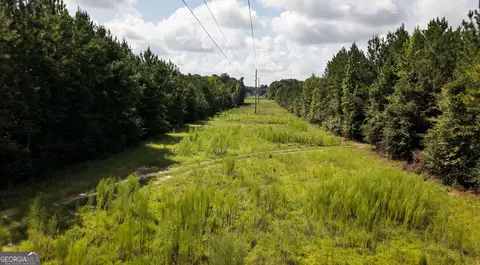 0 Buck Creek Byp, Oglethorpe, GA 31068 photo 21