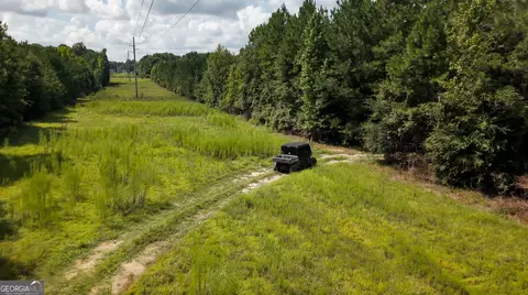 0 Buck Creek Byp, Oglethorpe, GA 31068 photo 22