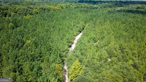 0 Buck Creek Byp, Oglethorpe, GA 31068 photo 23