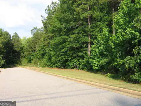 28 77 Acres Davis Rd, Lagrange, GA 30241 photo 6