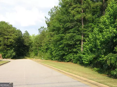 28 77 Acres Davis Rd, Lagrange, GA 30241 photo 4