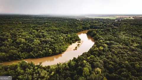 0 River Rd, Montezuma, GA 31063 photo 11