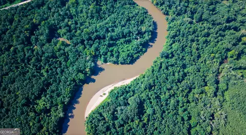 0 River Rd, Montezuma, GA 31063 photo 13