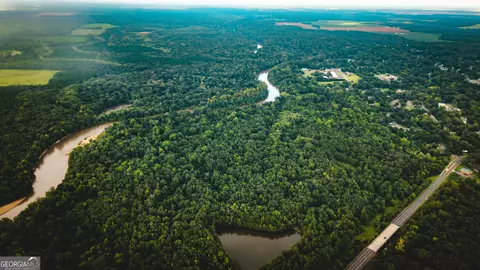 0 River Rd, Montezuma, GA 31063 photo 8