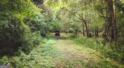 0 River Rd, Montezuma, GA 31063 photo 12