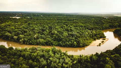 0 River Rd, Montezuma, GA 31063 photo 10