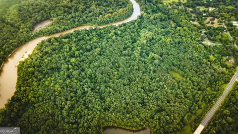 0 River Rd, Montezuma, GA 31063 photo 9