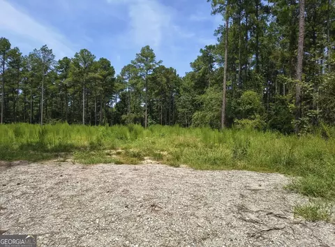 0 Mosley Bridge Rd, Claxton, GA 30417