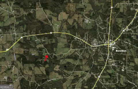 View/Area - 1400 Brickyard Rd, Bowdon, GA 30108 photo 4 of 4