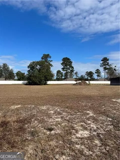 6911 Shellman Bluff Rd NE #101, Townsend, GA 31331 photo 3