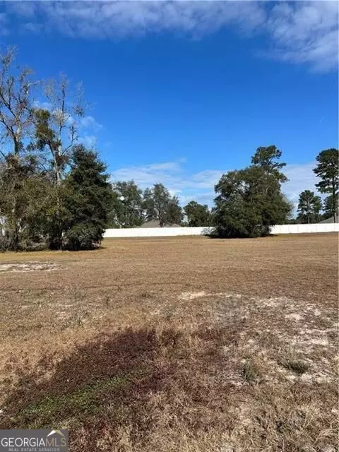 6911 Shellman Bluff Rd NE #101, Townsend, GA 31331 photo 5