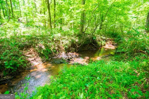 0 White Rd, Pine Mountain, GA 31822 photo 17