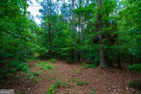 0 White Rd, Pine Mountain, GA 31822 photo 14