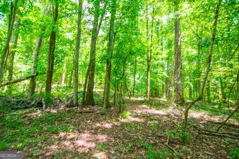 0 White Rd, Pine Mountain, GA 31822 photo 16
