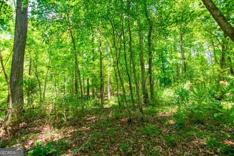 0 White Rd, Pine Mountain, GA 31822 photo 18