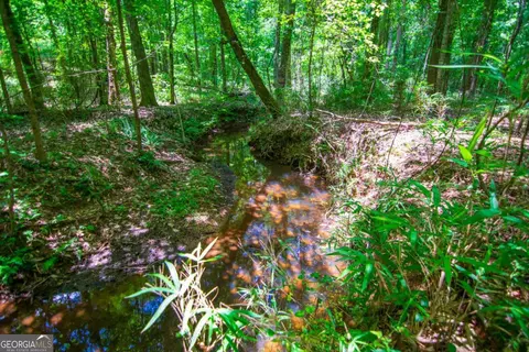 0 White Rd, Pine Mountain, GA 31822 photo 21