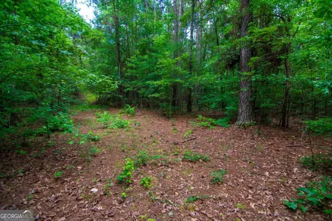 0 White Rd, Pine Mountain, GA 31822 photo 13