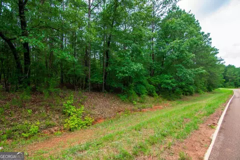 0 White Rd, Pine Mountain, GA 31822 photo 2