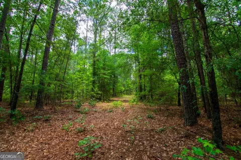 0 White Rd, Pine Mountain, GA 31822 photo 12