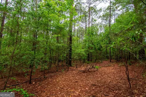 0 White Rd, Pine Mountain, GA 31822 photo 8