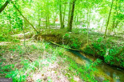 0 White Rd, Pine Mountain, GA 31822 photo 20