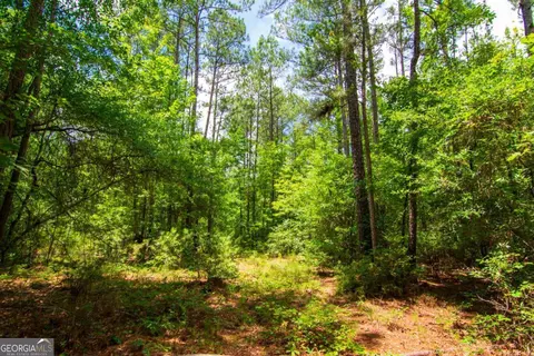 0 White Rd, Pine Mountain, GA 31822 photo 15
