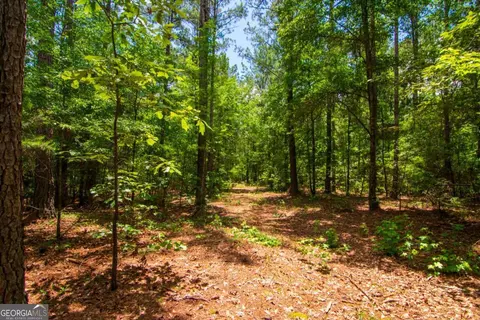 0 White Rd, Pine Mountain, GA 31822 photo 11