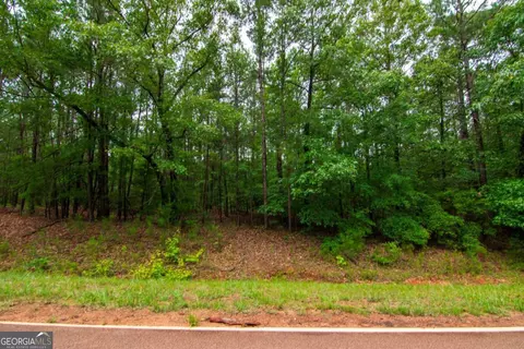 0 White Rd, Pine Mountain, GA 31822 photo 5