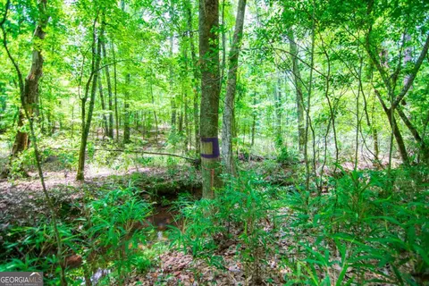0 White Rd, Pine Mountain, GA 31822 photo 22