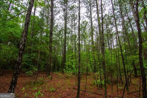 0 White Rd, Pine Mountain, GA 31822 photo 6