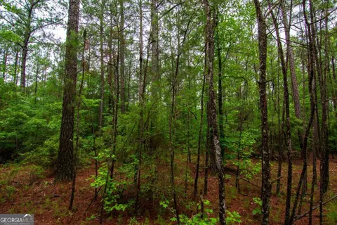 0 White Rd, Pine Mountain, GA 31822 photo 7