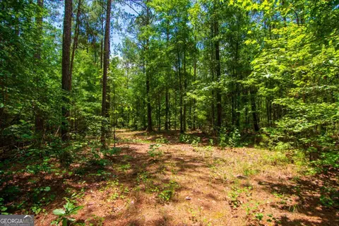0 White Rd, Pine Mountain, GA 31822 photo 10