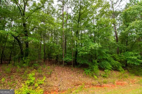 0 White Rd, Pine Mountain, GA 31822 photo 9