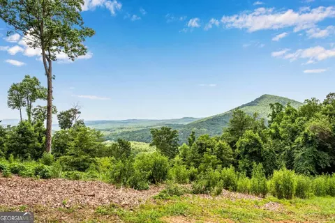 Other - 248 Duffer Dr, Jasper, GA 30143 photo 15 of 23