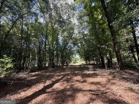 10 Sunhill Grange Rd, Davisboro, GA 31018