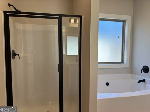 Bath - 229 Summit View Dr, Mcdonough, GA 30253 photo 3 of 3