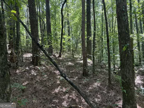 0 Center Point Rd, Carrollton, GA 30117
