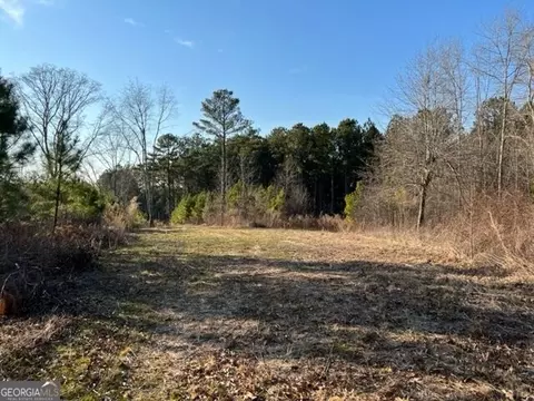 0 Luke Edwards Rd, Dacula, GA 30019 photo 5