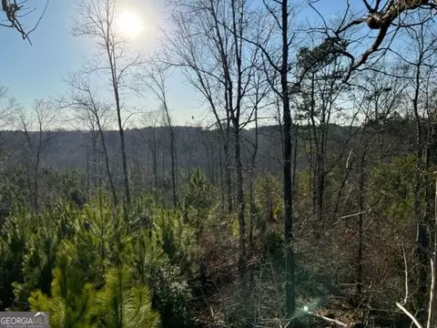 0 Luke Edwards Rd, Dacula, GA 30019 photo 4