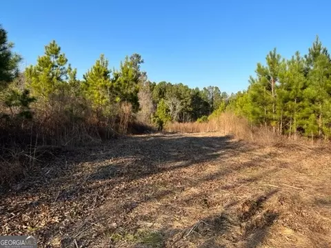 0 Luke Edwards Rd, Dacula, GA 30019 photo 6