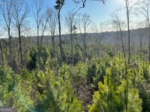 0 Luke Edwards Rd, Dacula, GA 30019 photo 3