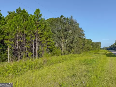 0 Pullen Rd, Damascus, GA 39841 photo 7