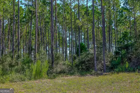 0 Pullen Rd, Damascus, GA 39841 photo 11