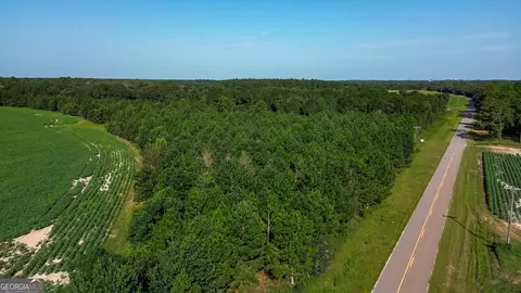 0 Pullen Rd, Damascus, GA 39841 photo 13