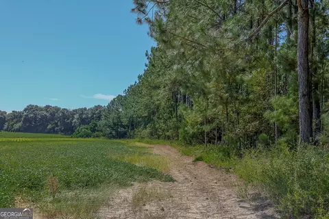0 Pullen Rd, Damascus, GA 39841 photo 5