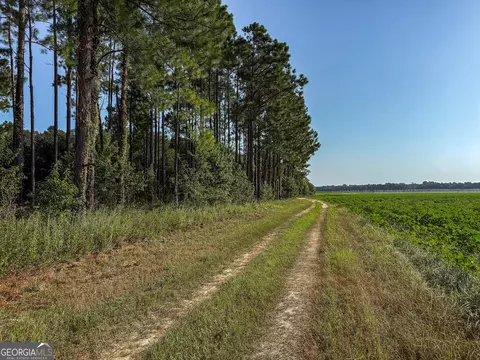 0 Pullen Rd, Damascus, GA 39841 photo 12