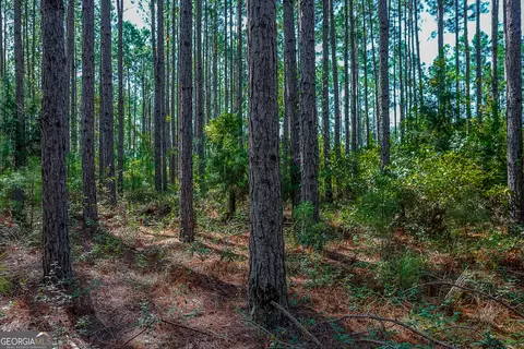 0 Pullen Rd, Damascus, GA 39841 photo 3